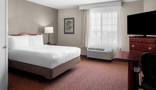 Studio Suite Queen Bed