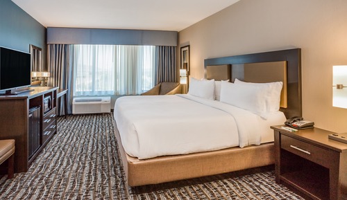 Premium Room, 1 King Bed (Walk In Shower)