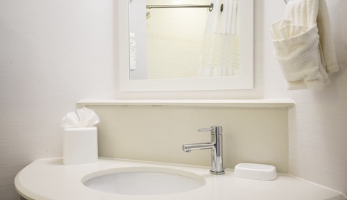 Room, 1 Queen Bed, Accessible, Non Smoking (Mobility & Hearing, Roll-in Shower)