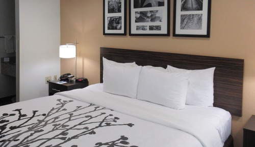 Room, 1 Queen Bed, Accessible, Non Smoking