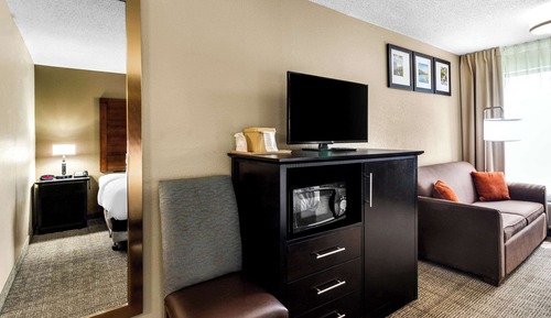 Standard Room, 1 King Bed with Sofa bed, Non Smoking