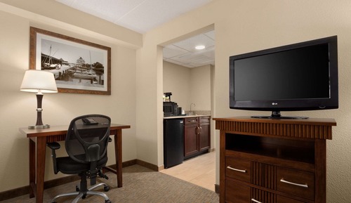 Suite, 1 King Bed with Sofa bed