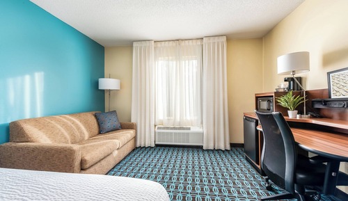 Room, 1 King Bed with Sofa bed