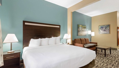 Suite, 1 King Bed with Sofa bed, Non Smoking, Refrigerator & Microwave (with Sofabed)