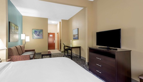 Standard Room, 1 King Bed, Non Smoking, Refrigerator & Microwave