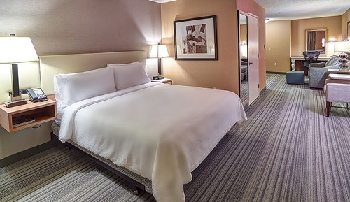 Suite, 1 King Bed