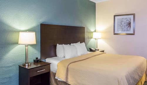 Standard Room, 1 King Bed, Non Smoking