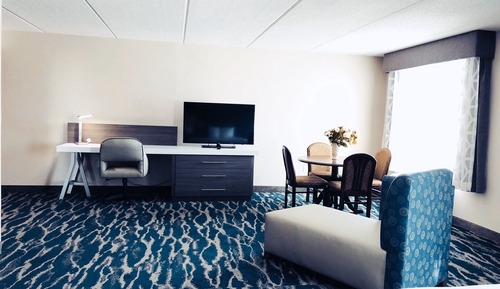 Standard Suite, 1 King Bed, Non Smoking