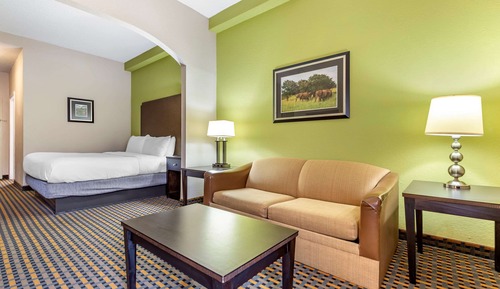 Standard Room, 1 King Bed with Sofa bed, Non Smoking