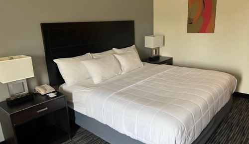 Room, 1 King Bed, Non Smoking, Private Bathroom