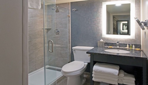 Studio Suite, 1 King Bed