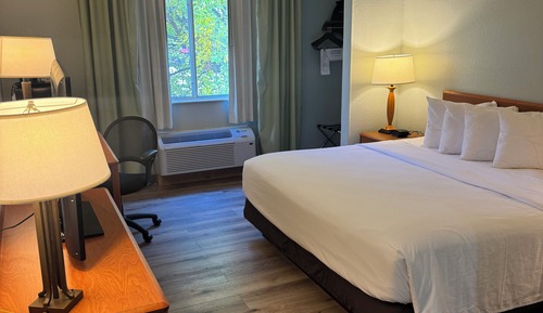 Room, 1 King Bed, Non Smoking