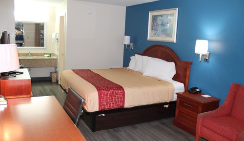 Room, 1 King Bed, Smoking