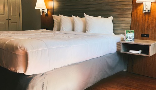 Room, 1 King Bed, Non Smoking