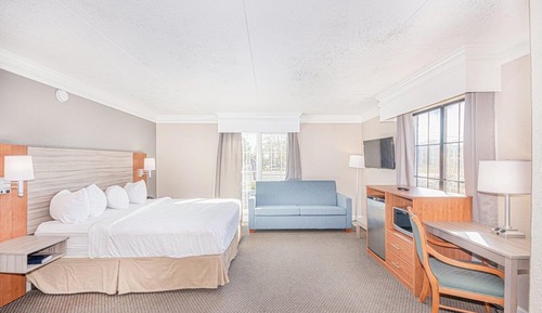Business Room, 1 King Bed, Non Smoking