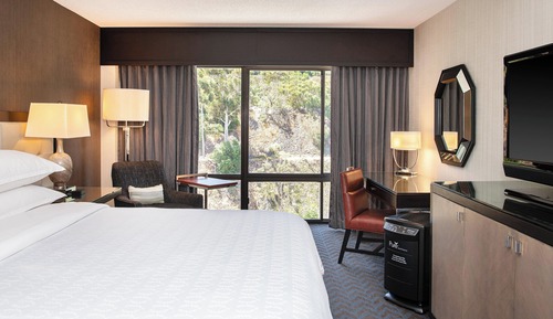 Room, 1 King Bed (Mobility/Hearing Accessible, Tub)
