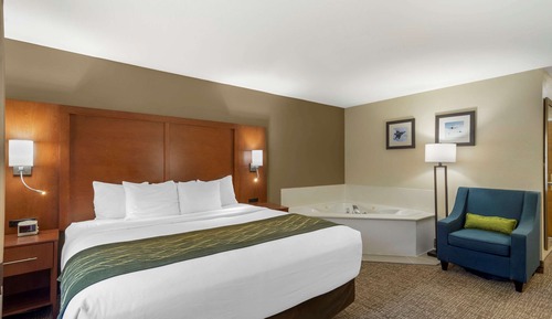 Business Room, 1 King Bed, Non Smoking