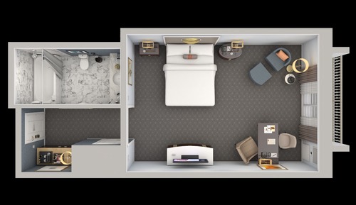 Room, 1 King Bed