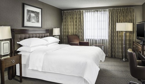 Room, 1 King Bed