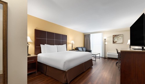Room, 1 King Bed (Wellness)