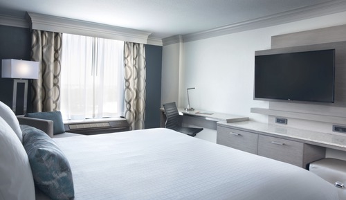 Room, 1 King Bed