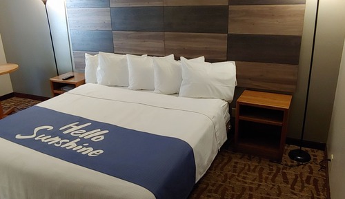 Room, 1 King Bed, Non Smoking, Refrigerator & Microwave