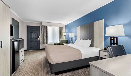 Room, 1 King Bed, Accessible, Non Smoking