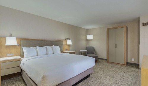 Deluxe Suite, 1 King Bed with Sofa bed