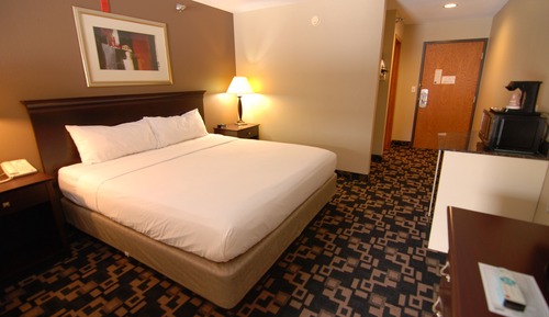 Standard Room, 1 King Bed, Poolside