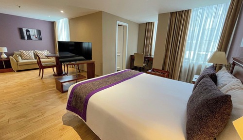 Executive Suite, 1 Queen Bed