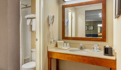 Suite, 1 King Bed with Sofa bed, Accessible, Non Smoking