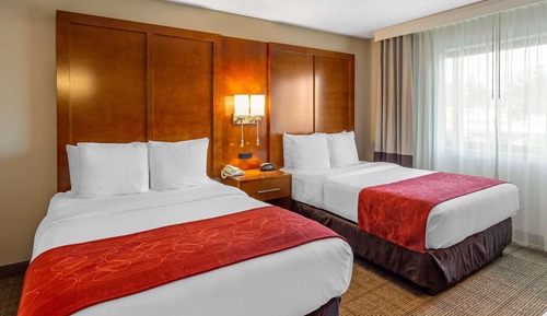 Business Suite, 2 Double Beds with Sofa Sleeper