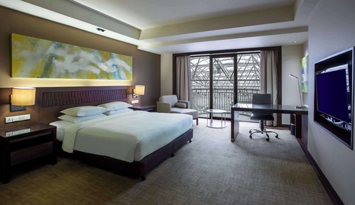 Room, 1 King Bed