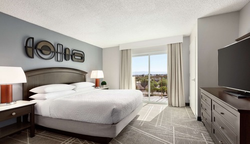 Standard Suite, 1 King Bed with Sofa bed