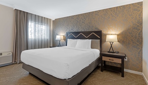 Standard Room, 1 King Bed, Non Smoking, Refrigerator & Microwave (Walk-in Shower;with Sofabed)