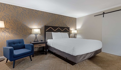 Standard Room, 1 King Bed, Refrigerator & Microwave, Ground Floor (Walk-in Shower)