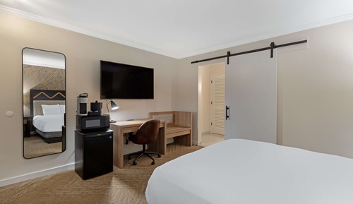 Standard Room, 1 Queen Bed, Accessible, Refrigerator & Microwave
