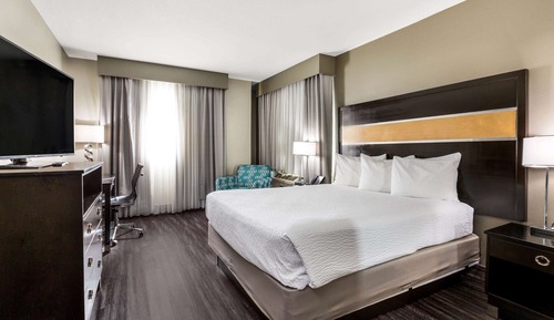 Room, 1 King Bed, Accessible, Non Smoking (Mobility,Roll-In Shower)
