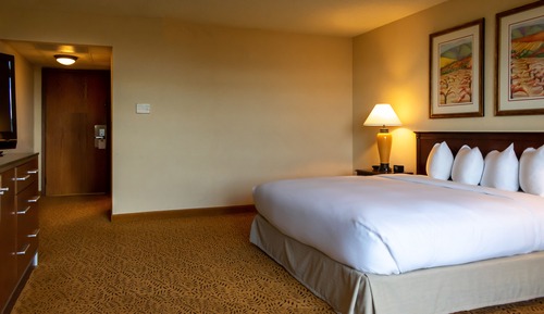 Room, 1 King Bed, Balcony, Tower (Metro Tower)