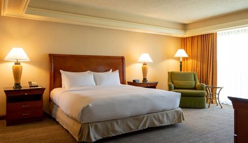 Room, 1 King Bed, Accessible, Bathtub (Mobility)
