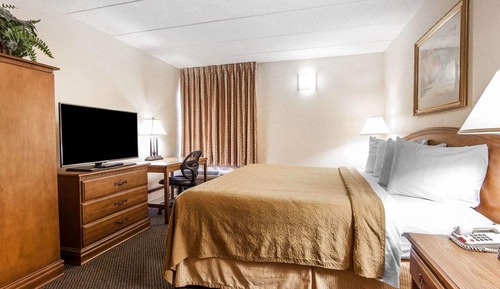 Standard Room, 1 King Bed, Non Smoking
