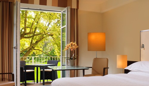 Room, 1 King Bed, Terrace, Park View