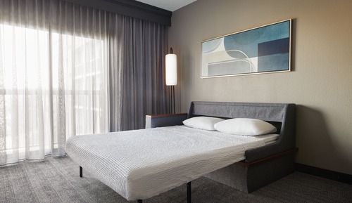 Deluxe Room, 1 King Bed with Sofa bed, View