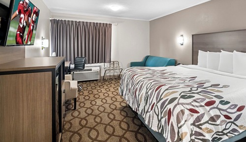 Suite, 1 King Bed with Sofa bed, Non Smoking