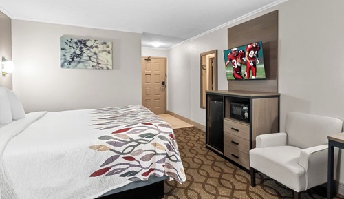 Superior Room, 1 King Bed, Smoking