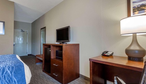 Room, 1 Queen Bed, Accessible, Non Smoking (Roll-In Shower)