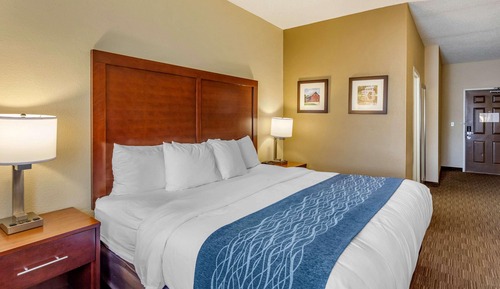 Standard Room, 1 King Bed, Non Smoking