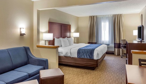 Suite, 1 King Bed with Sofa bed, Non Smoking