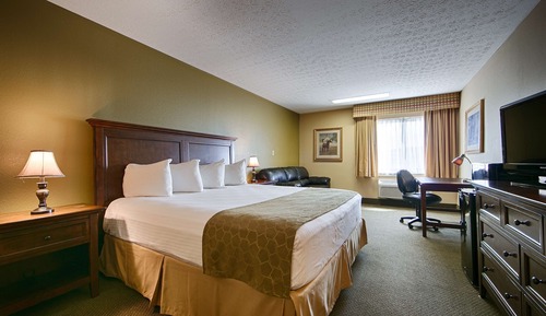 Suite, 1 King Bed, Non Smoking, Refrigerator & Microwave (with Sofabed)