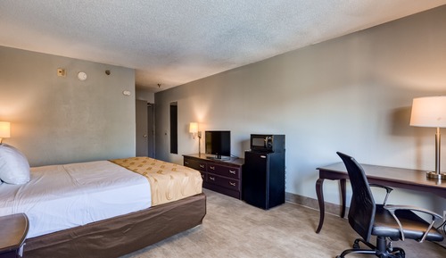 Standard Room, 1 King Bed, Accessible, Refrigerator & Microwave